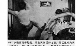 知青奇闻爆料事件真相视频,真相背后的惊人内幕